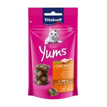 비타크래프트 캣얌 연어 40g 고양이간식, 4개, 치킨캣그라스