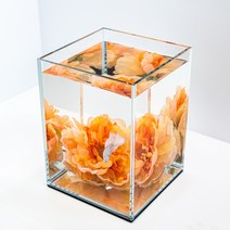 베타플라워 베타꽃침대[하늘하늘꽃침대], 블루