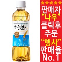 웅진 하늘보리 325ml X 12개 보리차음료