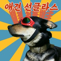 도매창고 강아지 선글라스 애견 고글 강아지악세사리 수경 애견악세서리 도글라스, 일반형 애견 선글라스 -블루, 1개