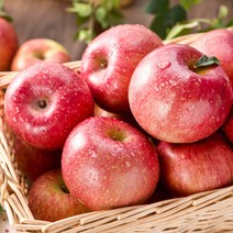 [햇살가득]새콤달콤 가정용 경북 제철 사과 10kg 한입(랜덤과), 단품