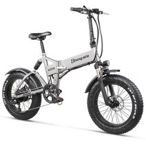 수입전기자전거 MX21 접이식 전기 자전거 500W4.0 지방 타이어 남성 여성 Ebike 48v 산악 자전거 전기 자전거 비치 크루저 자전거 저소음전기자전거, MX21-그레이, 협동사