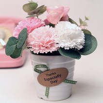 특별한 날 비누꽃 카네이션 화분 특별한날(핑크)