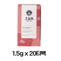 오설록 제주 동백꽃 티백 20EA, 60입, 105g