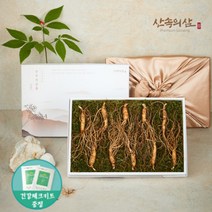 5-10년근 국내산 산양삼 산삼 산양산삼 장뇌삼 장뇌산삼, 6년근 프리미엄 10뿌리 (1상자)