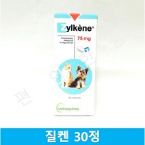 질켄 30정