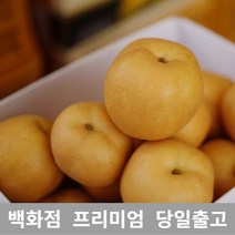 [특등급선별] 배 5kg 과일 선물 크기 소과 지역 랜덤 특급 황금배 배즙 선물세트 신고 가격 국내산 배 프리미엄 백화점 남품 나주배선물세트 과일배 배선물세트 나주배 배 배가격
