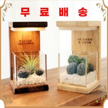 오감리빙 플랜테리어 인테리어 조명 무드등 원목 각인, 멀바우 브라운, 이오난사, 써라운드체