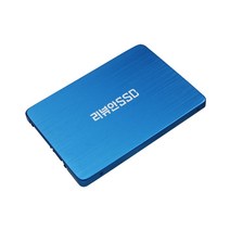 리뷰안 900G 게이밍 DRAM탑재 SATA SSD, 240GB, 용량