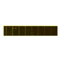 전지 아몰퍼스 4V 패널 태양광 모듈A-Si4V-4809 2.7mA