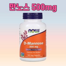 나우 푸드 D 만노오스 500mg 120 캡슐 디 만노스 약들약 고약사, 1개, 기본