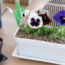 B테라스텃밭 플랜테리어 직사각화분 소형 텃밭화분 화단만들기, 화이트