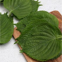빛고을장터 국내산 깻잎 2kg 1kg 500g내외 묶인깻잎 펴진깻잎, 1Box, 깻잎 500g내외(랜덤발송)