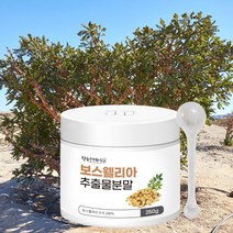참좋은데이 보스웰리아 추출물분말, 1개, 250g
