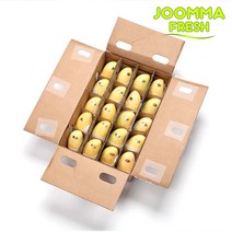 [직수입] 필리핀 카라바오 꿀 생망고 1kg 2kg 4kg 5kg, 카라바오망고 M 20과 5kg