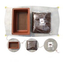 당근키우기 키트 오이키우기 세트