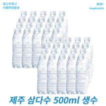 삼다수 500ml 무라벨 제주도물 미네랄워터 가정용생수배달, 40병
