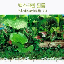 백스크린 필름 [수초(소폭)] J13