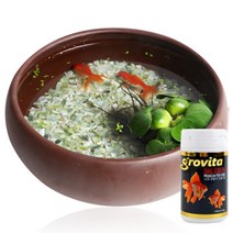 [바보사랑] 천연가습 도자기수반 금붕어키우기세트 중 -2마리포함 [미미네아쿠아], 상세 설명 참조, 상세 설명 참조