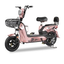 2인용 전기 자전거 48v 이륜 전기 배터리 자전거, 리튬 배터리 12A 리튬 배터리 에너지 65km