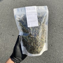 방앗간청년 박하향 가득한 박하차, 1개, 400g