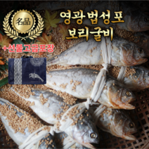 영광 법성포 보리굴비 32cm내외 5-10미 산지직송 왕특대 특대 중 사이즈선택 부세보리굴비 명절 설날 추석 명절 굴비 선물세트, 고급 보리굴비 28cm내외 10미 (실속형)