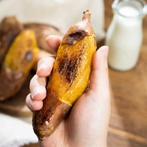 얌커넥트 해남 베니하루카 꿀고구마 비세척 고구마 햇고구마 대 5kg, 5kg (대), 1개