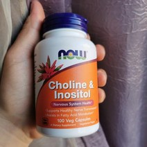 나우푸드 콜린250mg 이노시톨250mg 100정 3개월분