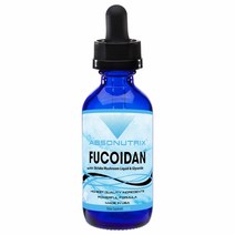 앱소뉴트릭스 후코이단 500mg 액상 120ml 미역귀 효능 후고이단