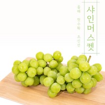 달콤폭발! 경산포도 샤인머스캣, 10, 1kg