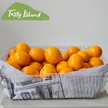 [우체국쇼핑] [테이스티-오픈특가]제주 금귤 낑깡 1kg 왕대과, 상세 설명 참조