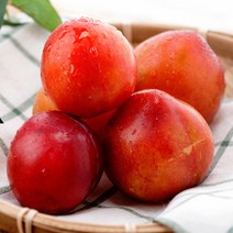 새콤달콤한 추희자두 2kg 4kg, 영천 추희자두 2kg(소), 1개