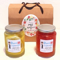 임셰프 수제청 선물세트 500ml, 생강청+배도라지청