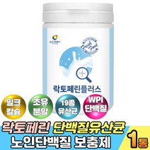 초유단백질분말 분리유청단백 락토페린 가루 유산균 WPC WPI 단백질 농축유청단백 분리유청단백 밀크칼슘 락토바실러스 가세리 포대유청 분리유단백 카제인프로틴 운동후단백질