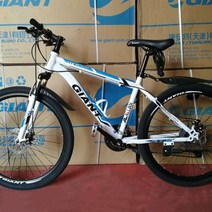 전기 산악자전거 MTB 광폭타이어 입문 출퇴근용 산악 자전거 한 바퀴 스포츠카 성인 학생용 오프로드 레이, 03 3_01 24inch