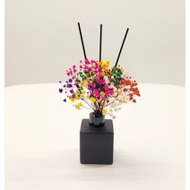 퐁텐느 레인보우 안개꽃 디퓨저+향150ml, 블랙체리