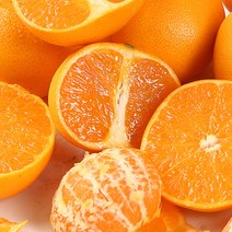 서귀포농원 고당도 감귤 3kg 5kg 10kg, 고당도 감귤 5kg 대과(L-2L)