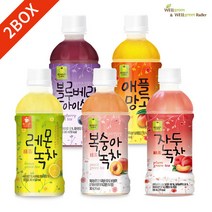 웰그린 스위트카페 340ml x 20PET 2박스 묶음 골라담기, 애플망고, 블루베리 아이스티