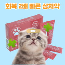 고양이 상처 연고 상처약 치료 피부 약 상비약 보호막, 스프레이 타입(1개입)
