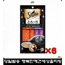 소화기능약한고양이 6p반려묘츄르 고양이키우는법 2개월고양이간식 고양이길들이기 펫용품