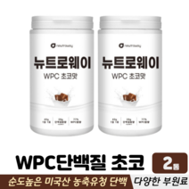 농축유청 단백질 분말 WPC 필수아미노산 비타민 미네랄 맛있는단백질 초코맛 프로틴보충제, 2통, 단백질쉐이크 600g