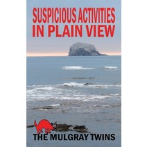 Suspicious Activities in Plain View Paperback, East Bay Publications, English, 9781843966180