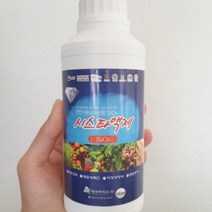 도복 열과 사과 벼 콩 호박 오이 천연수용성규산 시스타 액제SiO3(500ml), 1개
