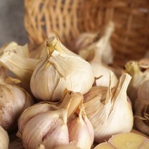 [더조은푸드] 알싸한 햇 남도 통마늘 1kg~5kg (크기선택), 알싸한 햇 남도 통마늘 5kg (특대), 1개