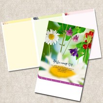 주보용지 3단 주보 교회 예배 주보인쇄 기성 디자인 칼라 청년부 주보 제작 기독교용품, EW-33