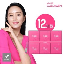 뉴트리 에버콜라겐 셀 에버콜라겐 타임비오틴 셀 12개월, 상세 설명 참조, 단일옵션