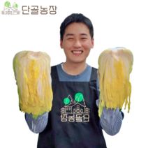 [예약배송] 땅끝 해남 일반 GAP HACCP 소금으로 절인 천일염 절임배추 20kg, 해남 GAP 절임배추 / 20kg(7~11포기)