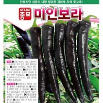아시아종묘 고추씨앗종자 미인보라 가지고추(10립)