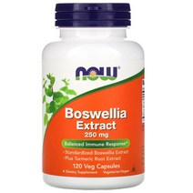 NOW Foods Boswellia Extract 250mg 120캡슐 보스웰리아 강황 뿌리 분말 유향 하이프로멜로오스 라우르산칼슘, 120카운트