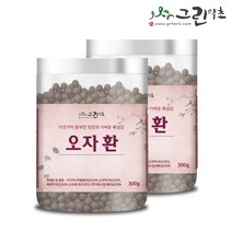 그린약초 국내산 오자환 300g, 2팩